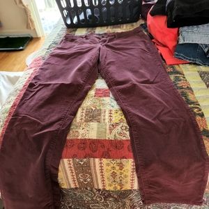 Velvety corduroy pants